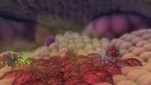 Transplantačná jednotka v NOÚ oslavuje už 30 rokov, tento rok zvládli rekordný počet transplantácií