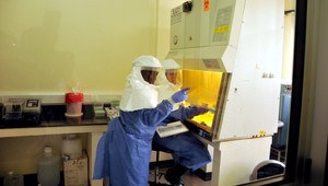 Európa sa bojí eboly, smrtiaci vírus môže zmutovať