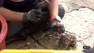 Najväčšie kuriozity v relácii Svet 24