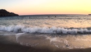 Dovolenkový šok - žralok na dosah ruky priamo na pláži