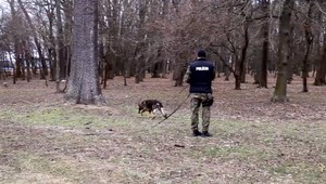 Najprv okradol dôchodkyňu, potom napadol policajného psa. Policajt musel vystreliť