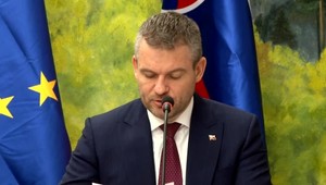 Verejní funkcionári za chyby trestaní nie sú. Pellegrini sa chce na prešľapy pozrieť