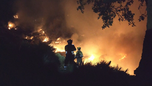 Európa platí daň za extrémne počasie: Toto leto ju stálo desiatky miliárd eur