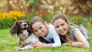 Súrodenci, ktorí majú doma psa, sa medzi sebou ďaleko menej hádajú