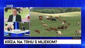 Štúdio 24: Kríza na trhu s mliekom?