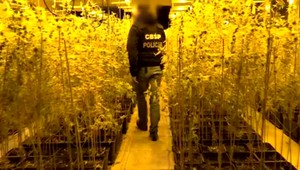 Polícia rozbila gang narkobarónov. Zaistili drogy za 30 miliónov eur