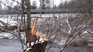Hrozí silný vietor, poľadovica aj záveje. V týchto regiónoch platí až druhý stupeň výstrahy