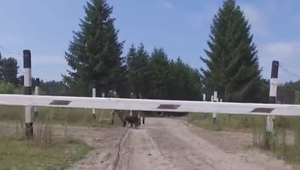 Na východnej hranici sa ozvala streľba. Utekajúci Ukrajinec bol zadržaný