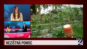 Až 438 detských obetí na Ukrajine. V Štúdiu JOJ 24 aj o nezištnej pomoci nadácie Integra