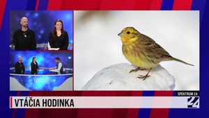Spektrum 24 o Vtáčej hodinke