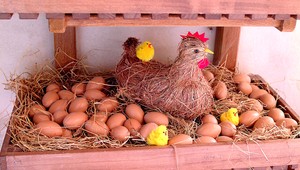 10 vajec za 3 €? Neskutočné, sťažujú sa ľudia