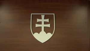 Mladý muž sa priznal k napadnutiu bežkyne, už si aj vypočul rozsudok
