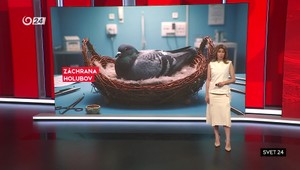 Svet 24 o destinácii vinárov aj záchrane holubov