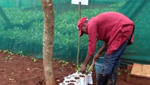 Slovenská vláda podporila farmárov v Keni