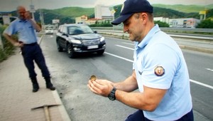 Zoologička o netradičnej záchrane: Kačka vie, koľko má mladých, preto čakala