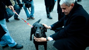 Dzurindova volebná kampaň. Bude sa prevážať vlakmi