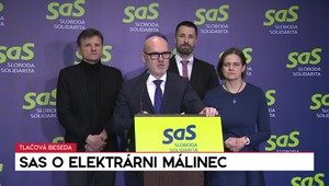 Tlačová beseda SaS o elektrárni Málinec
