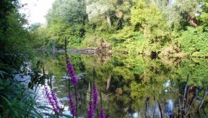 Ochranári chcú preveriť všetky zdroje pitnej vody na Slovensku