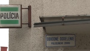 Matka odišla za svojim druhom do Viedne. Doma nechala šesť detí, najmladšie dvojičky majú osem mesiacov