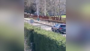 VIDEO: Medveď v Liptovskom Mikuláši zranil 5 ľudí