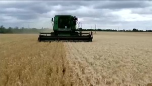 Pestovateľom pšenice sa vykompenzuje dovoz obilia z Ukrajiny