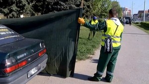 Ak vám kosci zašpinia trávou auto, máte nárok na odškodnenie
