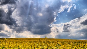 Po chladnejšom víkende príde oteplenie. Ale nie na dlho
