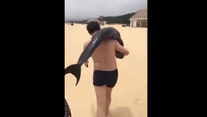 Turista si na ramene odniesol z pláže umierajúceho delfína. Hrozí mu väzenie