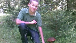 Voľný vstup do vojenských lesov. Od 1. júla je to možné!