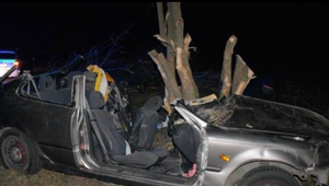 Tragická nehoda pri obci Cífer. Mladý vodič prišiel zbytočne o život