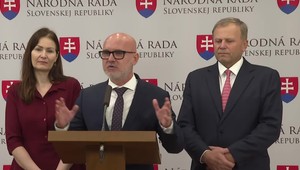 Tlačová beseda strany SaS k aktuálnym témam