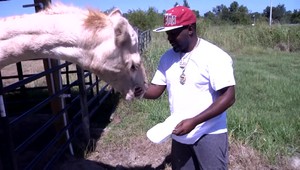 Neželená návštevníčka ho uhrýzla na najcitlivejšom mieste