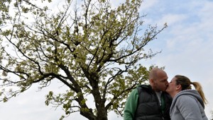 Prvý máj bez rozkvitnutých čerešní: Bude to koniec májového bozku?