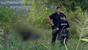 Hrozivý nález pri Komárne: Objavili ľudské telo v značnom štádiu rozkladu