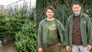 Viete, ako vybrať dokonalý vianočný stromček? Máme tipy, ktoré vám ušetria peniaze i nervy!