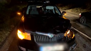 Pre zrazenú lesnú zver môžete skončiť vo väzení. Ako správne postupovať?