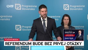 Tlačová beseda strany Progresívne Slovensko k referendu