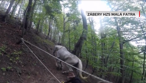 FOTO: Horskí záchranári takúto akciu ešte nezažili. V Malej Fatre zachraňovali jazdecké kone
