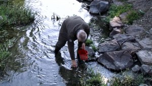 V potoku neďaleko Zvolena našli množstvo uhynutých rýb