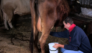 Farmár hľadá ženu 9 - Marián, Anton, Janka
