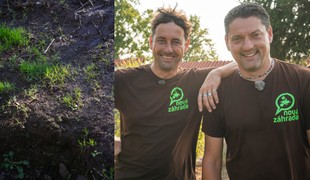 Je váš trávnik po zime v zúboženom stave? Nezúfajte, takto ho dáte späť do formy!