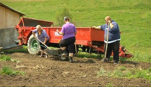 Slnko, seno, slanina 21