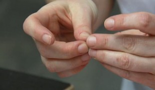 Glóbus, hudobniny, vankúšová torta