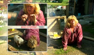 Dana nemá hranice! Ako pes skočí na štyri a strčí hlavu do psej misky!