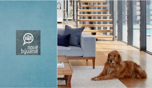 Milovníci ZVIERAT, chystáte sa stavať alebo zariaďovať novostavbu? Na TIETO veci myslite!