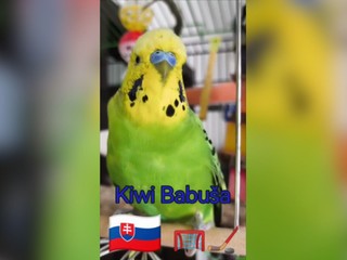 Ciki caki ciki cak! Slovenskooo. Naši hokejisti majú netradičného fanúšika!