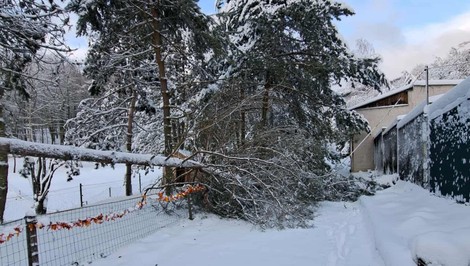 V košickej ZOO sneh vyvrátil cez 200 stromov. Verejnosť sa do nej nedostane