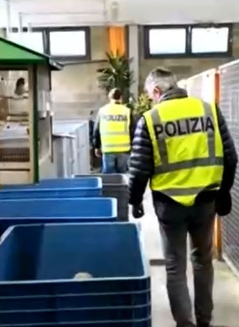 Talianska polícia zadržala gang pašerákov šteniat. Je medzi nimi aj Slovák