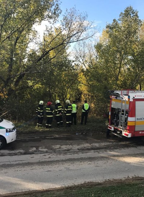Nehoda, Podunajské Biskupice, hasiči, polícia