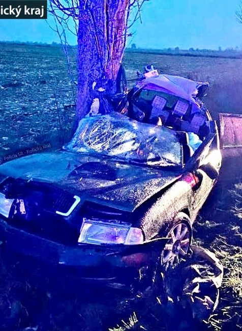 Tragická nehoda na mokrej ceste. Spolujazdec neprežil náraz do stromu